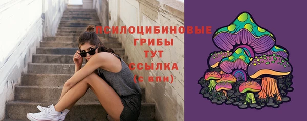 каннабис Коряжма