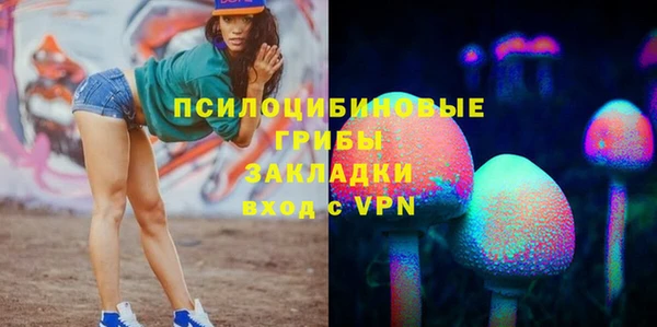 МДПВ Костерёво